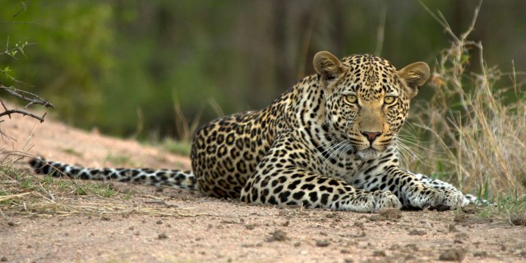 Serengeti National Park