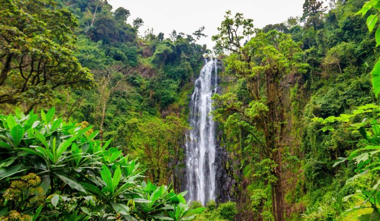 Materuni water falls