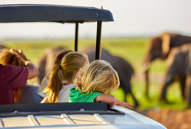 African Safari, The Best Safari Destination