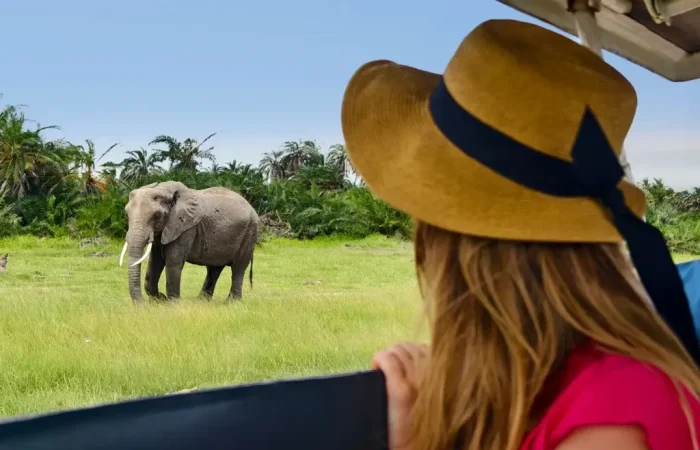 Is Tanzania Safe for Tourists What You Need to Know in 2026 Solo