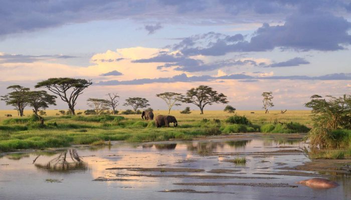 Wet weather Tanzania